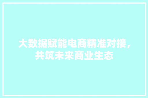 大数据赋能电商精准对接,共筑未来商业生态 大数据赋能电商精准对接,共筑未来商业生态