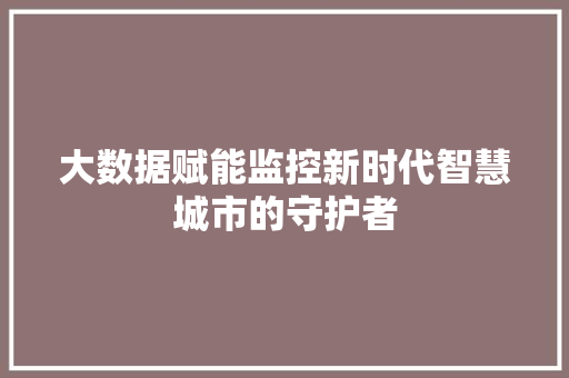 大数据赋能监控新时代智慧城市的守护者