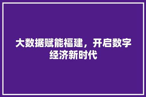大数据赋能福建,开启数字经济新时代 大数据赋能福建,开启数字经济新时代