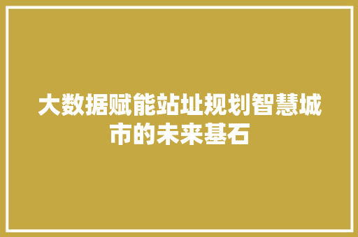 大数据赋能站址规划智慧城市的未来基石