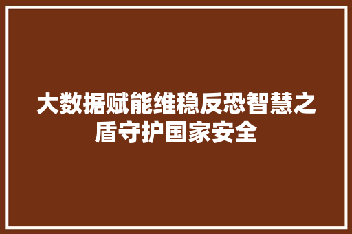 大数据赋能维稳反恐智慧之盾守护国家安全
