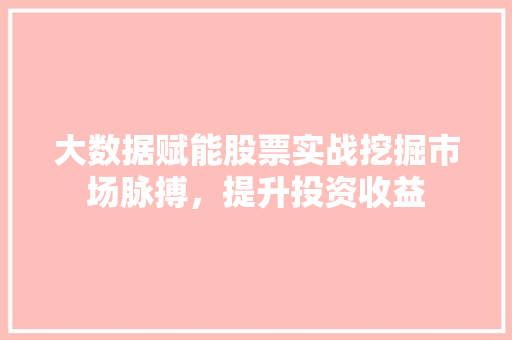 大数据赋能股票实战挖掘市场脉搏，提升投资收益
