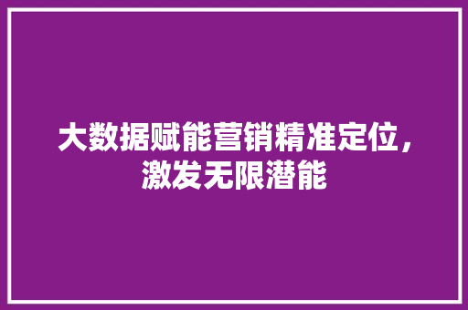 大数据赋能营销精准定位，激发无限潜能