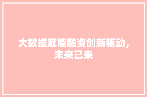 大数据赋能融资创新驱动，未来已来