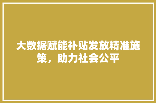 大数据赋能补贴发放精准施策，助力社会公平