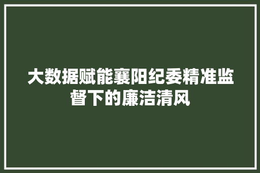 大数据赋能襄阳纪委精准监督下的廉洁清风