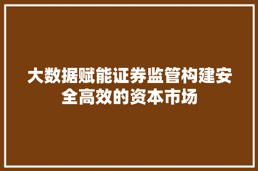 大数据赋能证券监管构建安全高效的资本市场