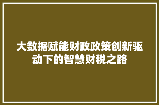 大数据赋能财政政策创新驱动下的智慧财税之路