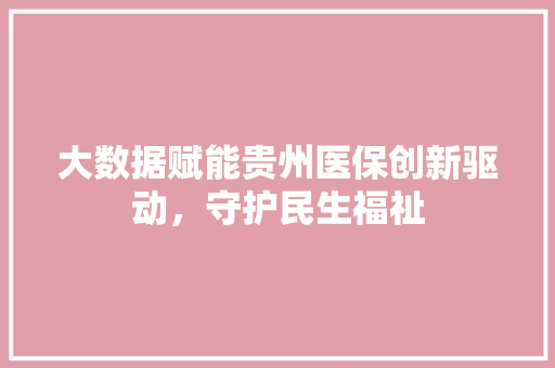 大数据赋能贵州医保创新驱动，守护民生福祉