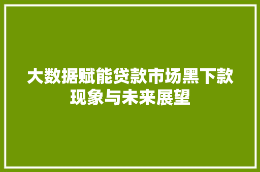 大数据赋能贷款市场黑下款现象与未来展望 操作系统 大数据赋能贷款市场黑下款现象与未来展望 操作系统