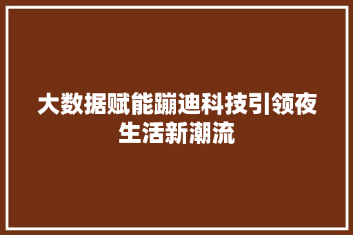 大数据赋能蹦迪科技引领夜生活新潮流 编程语言