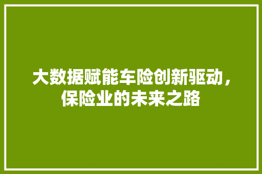 大数据赋能车险创新驱动，保险业的未来之路
