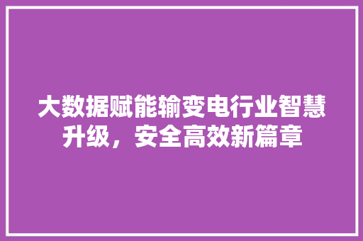大数据赋能输变电行业智慧升级，安全高效新篇章 编程语言