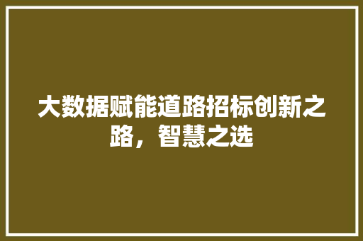 大数据赋能道路招标创新之路，智慧之选 操作系统