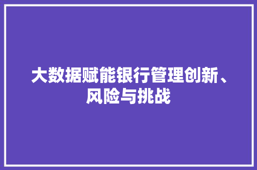 大数据赋能银行管理创新、风险与挑战 操作系统
