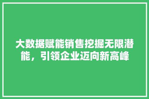 大数据赋能销售挖掘无限潜能，引领企业迈向新高峰