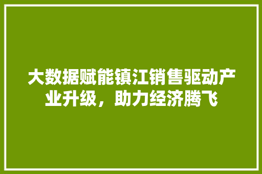 大数据赋能镇江销售驱动产业升级,助力经济腾飞 大数据赋能镇江销售驱动产业升级,助力经济腾飞