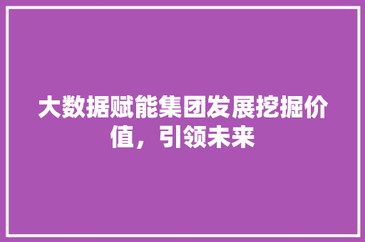 大数据赋能集团发展挖掘价值，引领未来
