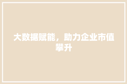 大数据赋能，助力企业市值攀升