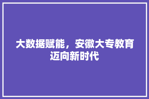 大数据赋能，安徽大专教育迈向新时代 电脑配置