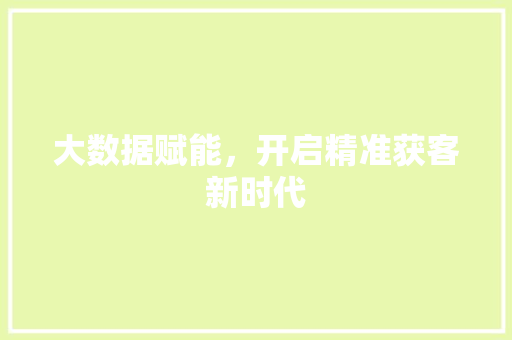 大数据赋能，开启精准获客新时代