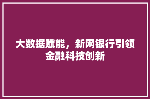 大数据赋能，新网银行引领金融科技创新