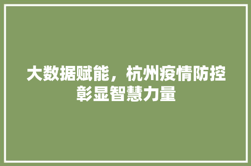 大数据赋能，杭州疫情防控彰显智慧力量