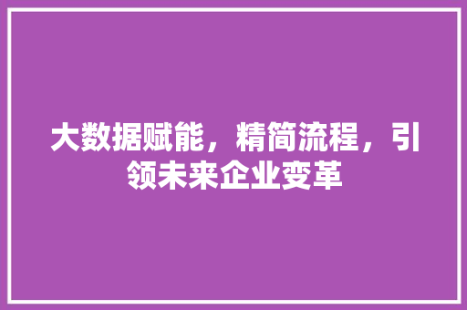 大数据赋能,精简流程,引领未来企业变革 网络技术 大数据赋能,精简流程,引领未来企业变革 网络技术