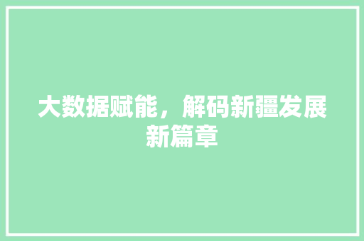 大数据赋能，解码新疆发展新篇章 编程语言