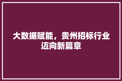 大数据赋能，贵州招标行业迈向新篇章 编程语言