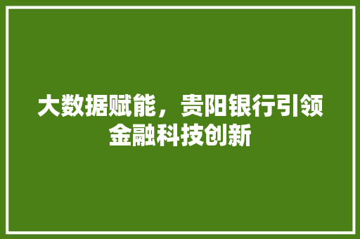 大数据赋能，贵阳银行引领金融科技创新 编程语言