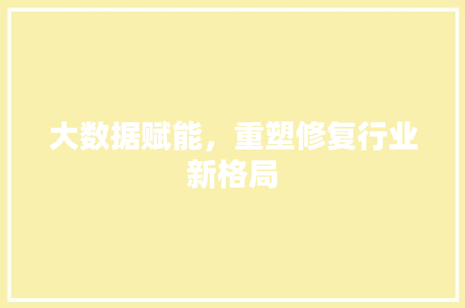 大数据赋能，重塑修复行业新格局 网络技术