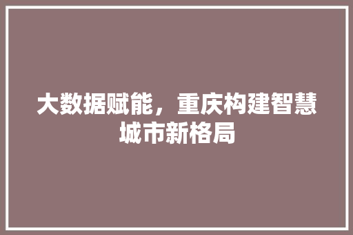 大数据赋能，重庆构建智慧城市新格局 编程语言