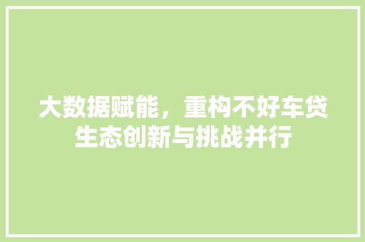 大数据赋能,重构不好车贷生态创新与挑战并行 网络技术 大数据赋能,重构不好车贷生态创新与挑战并行 网络技术