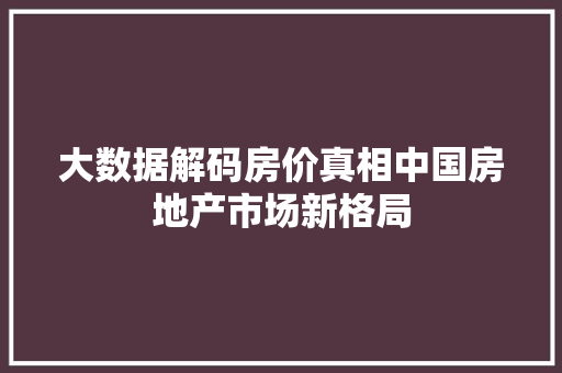 大数据解码房价真相中国房地产市场新格局 大数据解码房价真相中国房地产市场新格局