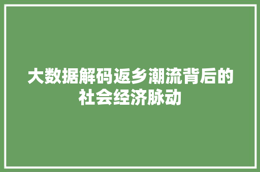 大数据解码返乡潮流背后的社会经济脉动