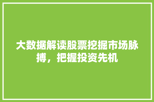 大数据解读股票挖掘市场脉搏，把握投资先机