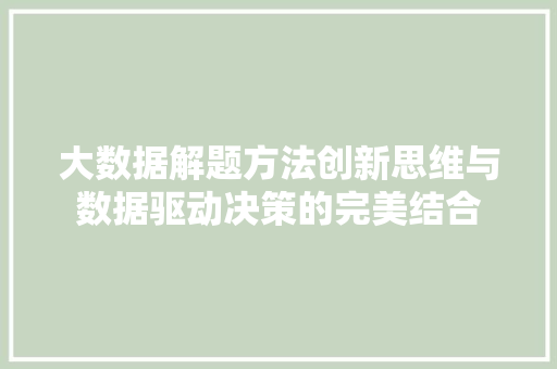 大数据解题方法创新思维与数据驱动决策的完美结合