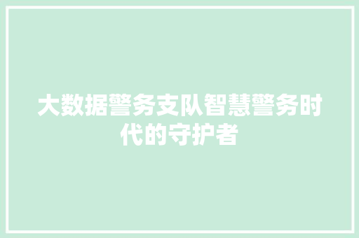 大数据警务支队智慧警务时代的守护者