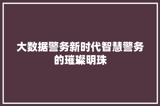 大数据警务新时代智慧警务的璀璨明珠