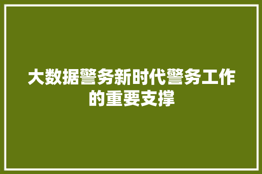 大数据警务新时代警务工作的重要支撑 电脑基础 大数据警务新时代警务工作的重要支撑 电脑基础