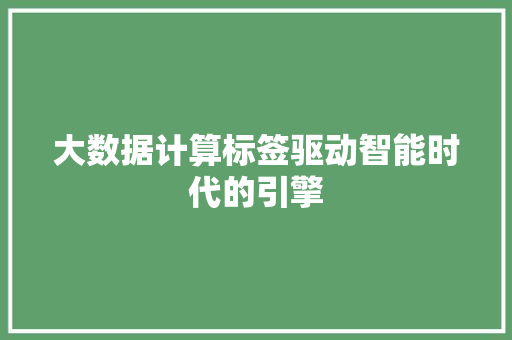 大数据计算标签驱动智能时代的引擎