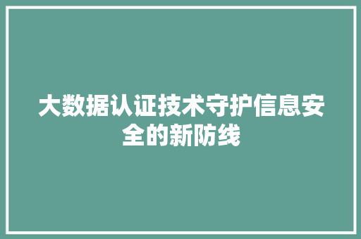 大数据认证技术守护信息安全的新防线