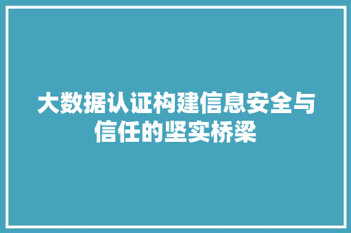 大数据认证构建信息安全与信任的坚实桥梁
