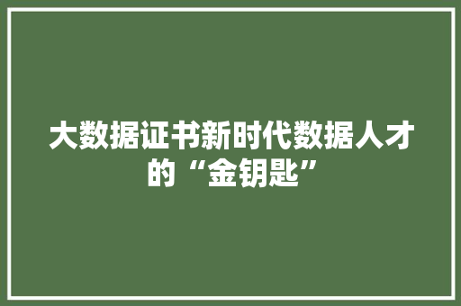 大数据证书新时代数据人才的“金钥匙” 电脑故障维修 大数据证书新时代数据人才的“金钥匙” 电脑故障维修