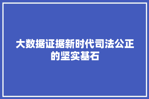 大数据证据新时代司法公正的坚实基石 大数据证据新时代司法公正的坚实基石
