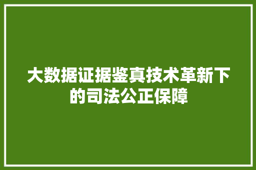 大数据证据鉴真技术革新下的司法公正保障 大数据证据鉴真技术革新下的司法公正保障