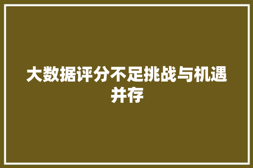 大数据评分不足挑战与机遇并存 大数据评分不足挑战与机遇并存