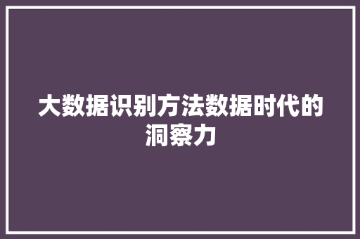 大数据识别方法数据时代的洞察力 操作系统