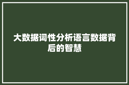 大数据词性分析语言数据背后的智慧